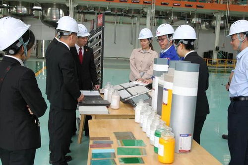 立足知識(shí)產(chǎn)權(quán)保護(hù)，協(xié)同企業(yè)創(chuàng)新發(fā)展——江州區(qū)法院舉辦新材料技術(shù)研發(fā)領(lǐng)域知識(shí)產(chǎn)權(quán)保護(hù)宣講座談會(huì)